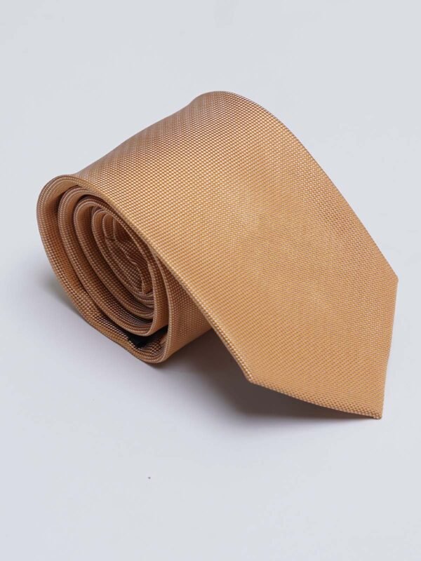 Orange Designer Self Tie (TIE-1372)