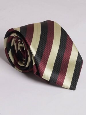 636.jpg Multi Color Striped Tie (TIE-636)