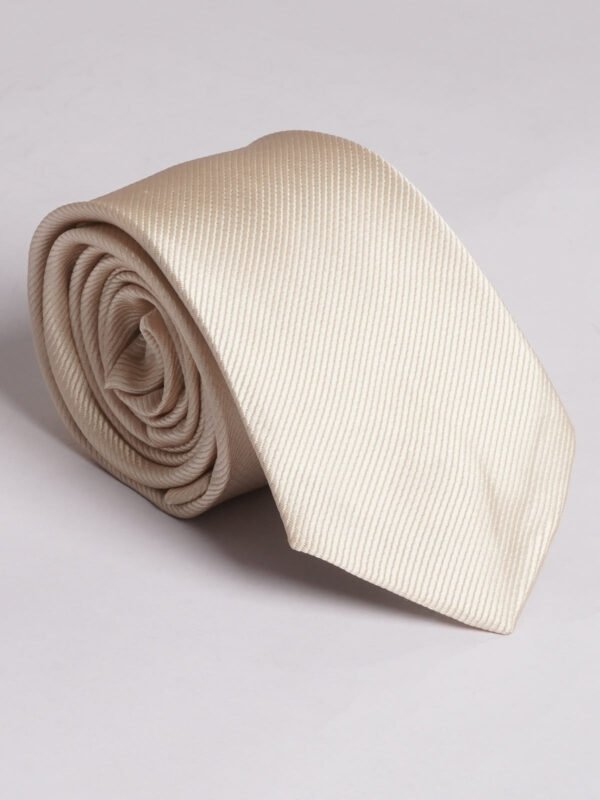 Camel Plain Tie (TIE-665)