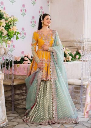 Dilaab Dress