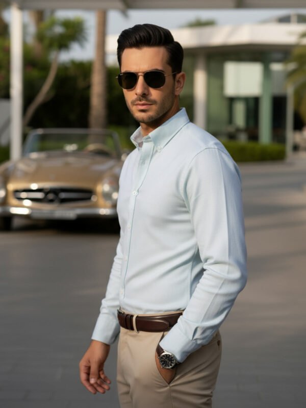 Light Green Plain, Button Down Collar, Elite Edition, Men’s Formal Shirt (FS-2619)