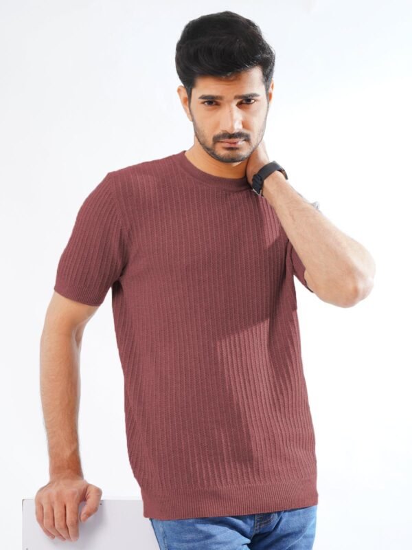 SKCN11-2.jpg Red Half Sleeves Men’s Premium Knitted Crew Neck T-Shirt (SKCN-11)